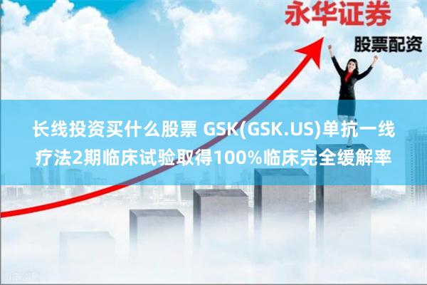 长线投资买什么股票 GSK(GSK.US)单抗一线疗法2期临床试验取得100%临床完全缓解率