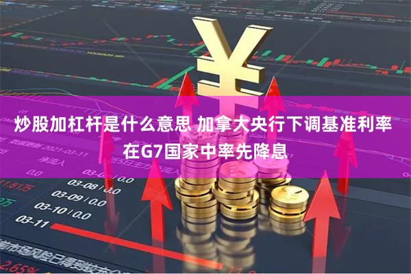 炒股加杠杆是什么意思 加拿大央行下调基准利率 在G7国家中率先降息