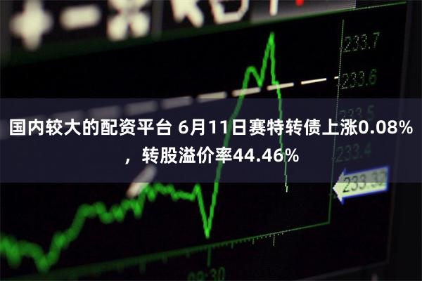 国内较大的配资平台 6月11日赛特转债上涨0.08%，转股溢价率44.46%