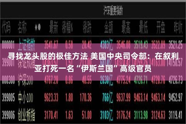 寻找龙头股的极佳方法 美国中央司令部：在叙利亚打死一名“伊斯兰国”高级官员