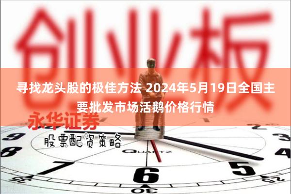 寻找龙头股的极佳方法 2024年5月19日全国主要批发市场活鹅价格行情