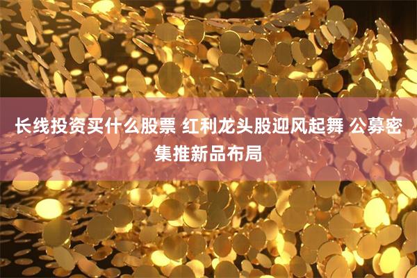 长线投资买什么股票 红利龙头股迎风起舞 公募密集推新品布局