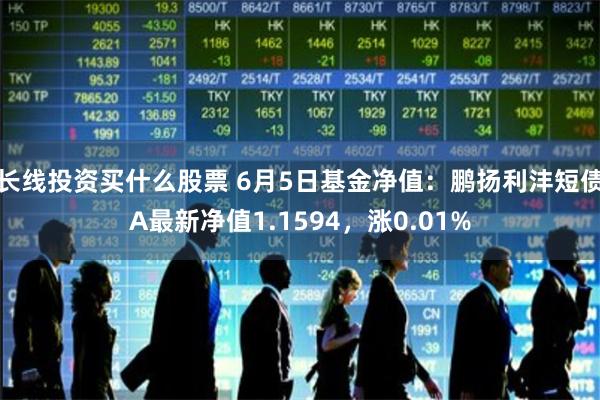 长线投资买什么股票 6月5日基金净值：鹏扬利沣短债A最新净值1.1594，涨0.01%