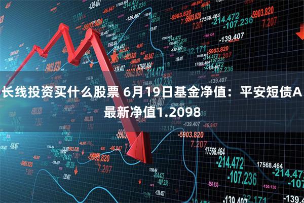 长线投资买什么股票 6月19日基金净值：平安短债A最新净值1.2098