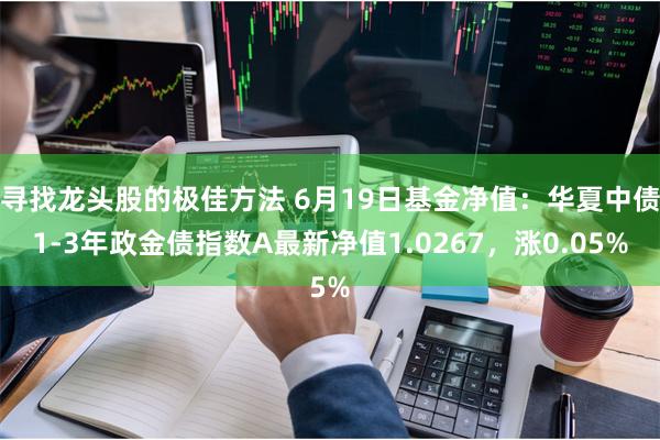 寻找龙头股的极佳方法 6月19日基金净值：华夏中债1-3年政金债指数A最新净值1.0267，涨0.05%