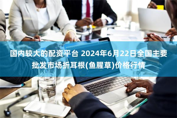 国内较大的配资平台 2024年6月22日全国主要批发市场折耳根(鱼腥草)价格行情