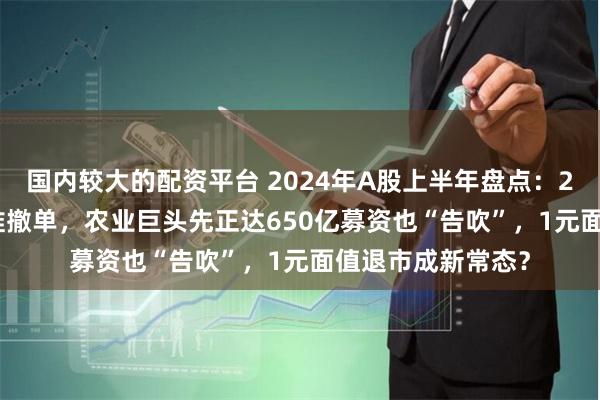 国内较大的配资平台 2024年A股上半年盘点：265家IPO企业扎推撤单，农业巨头先正达650亿募资也“告吹”，1元面值退市成新常态？