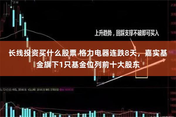 长线投资买什么股票 格力电器连跌8天，嘉实基金旗下1只基金位列前十大股东