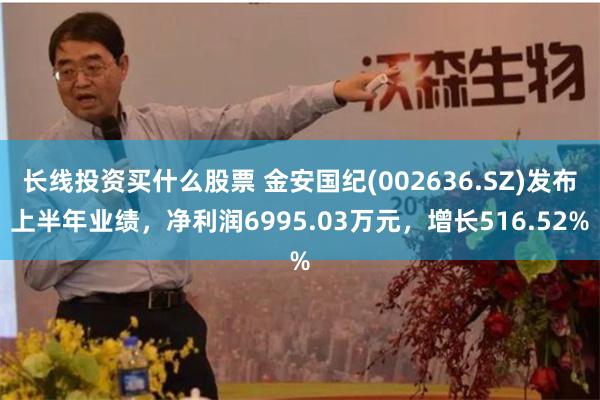 长线投资买什么股票 金安国纪(002636.SZ)发布上半年业绩，净利润6995.03万元，增长516.52%