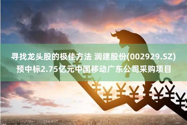 寻找龙头股的极佳方法 润建股份(002929.SZ)预中标2.75亿元中国移动广东公司采购项目