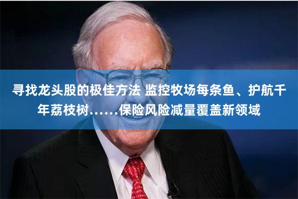 寻找龙头股的极佳方法 监控牧场每条鱼、护航千年荔枝树……保险风险减量覆盖新领域