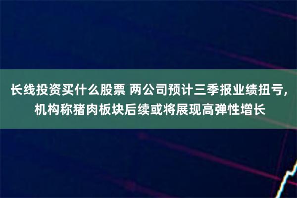 长线投资买什么股票 两公司预计三季报业绩扭亏, 机构称猪肉板块后续或将展现高弹性增长