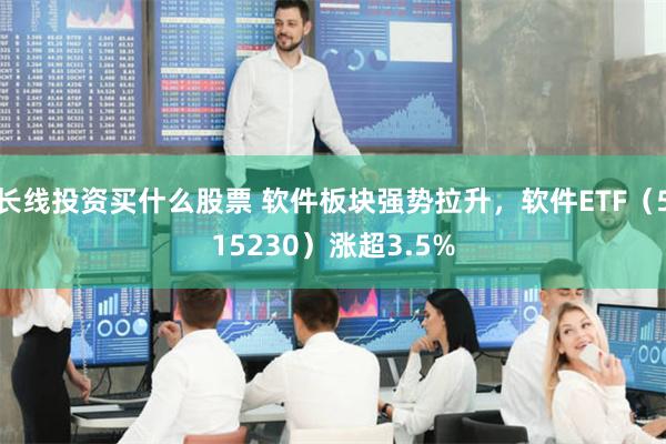 长线投资买什么股票 软件板块强势拉升，软件ETF（515230）涨超3.5%