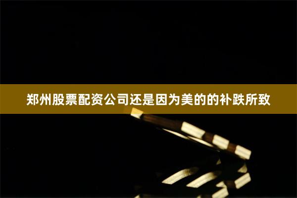 郑州股票配资公司还是因为美的的补跌所致