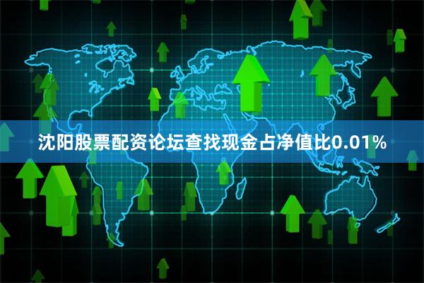 沈阳股票配资论坛查找现金占净值比0.01%
